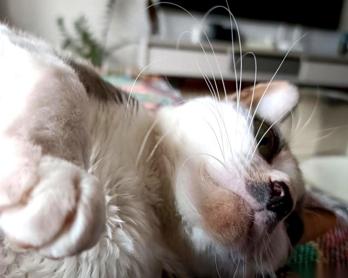 包钢这票，我算是看明白了。
它就不是让你来挣钱的，它是来渡你的，渡你放下执念，立