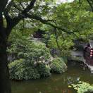 米漂捧音乐