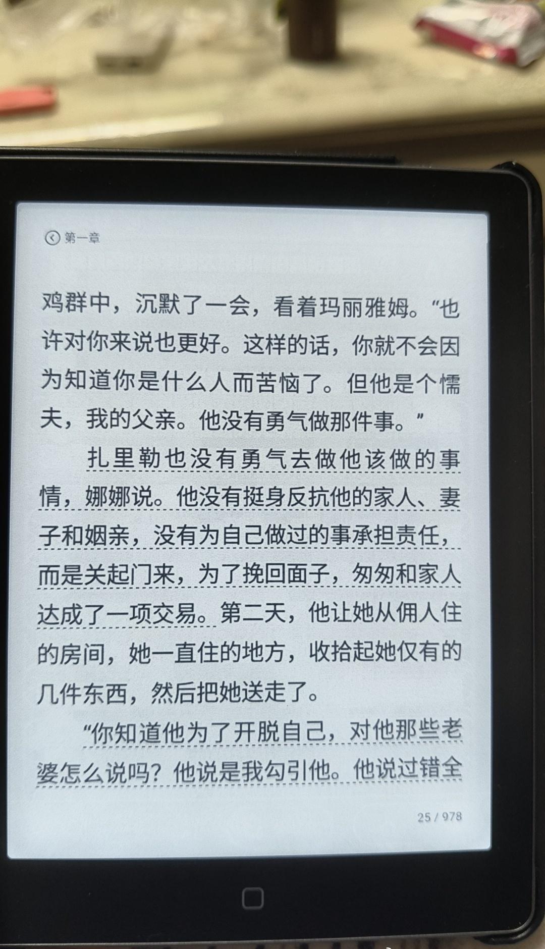 《灿烂千阳》太震撼了，这书写的怎么说，感觉用一支强力水枪冲击我的神经

而且看书