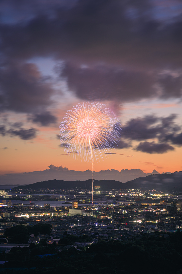 梦花火🎇（图源：x.com