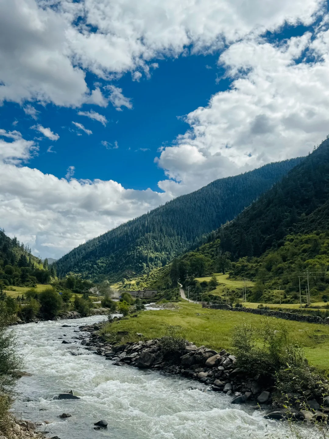 这里真的太适合放空了～❄️🌲