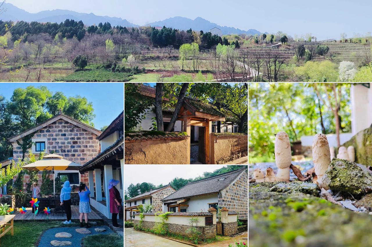 西安周边，清明假期去哪玩，不如躲开人群，走进秦岭山里，美丽村落，爬山玩水，过几天