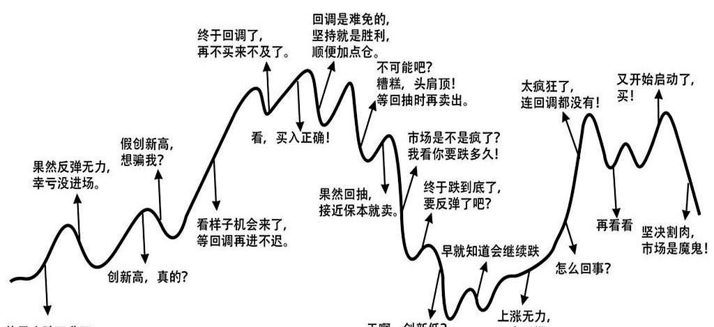 清华扒了上交所四千万个账户，得出一个结论。
就一句话，但扎心到冒血：
0.5%的