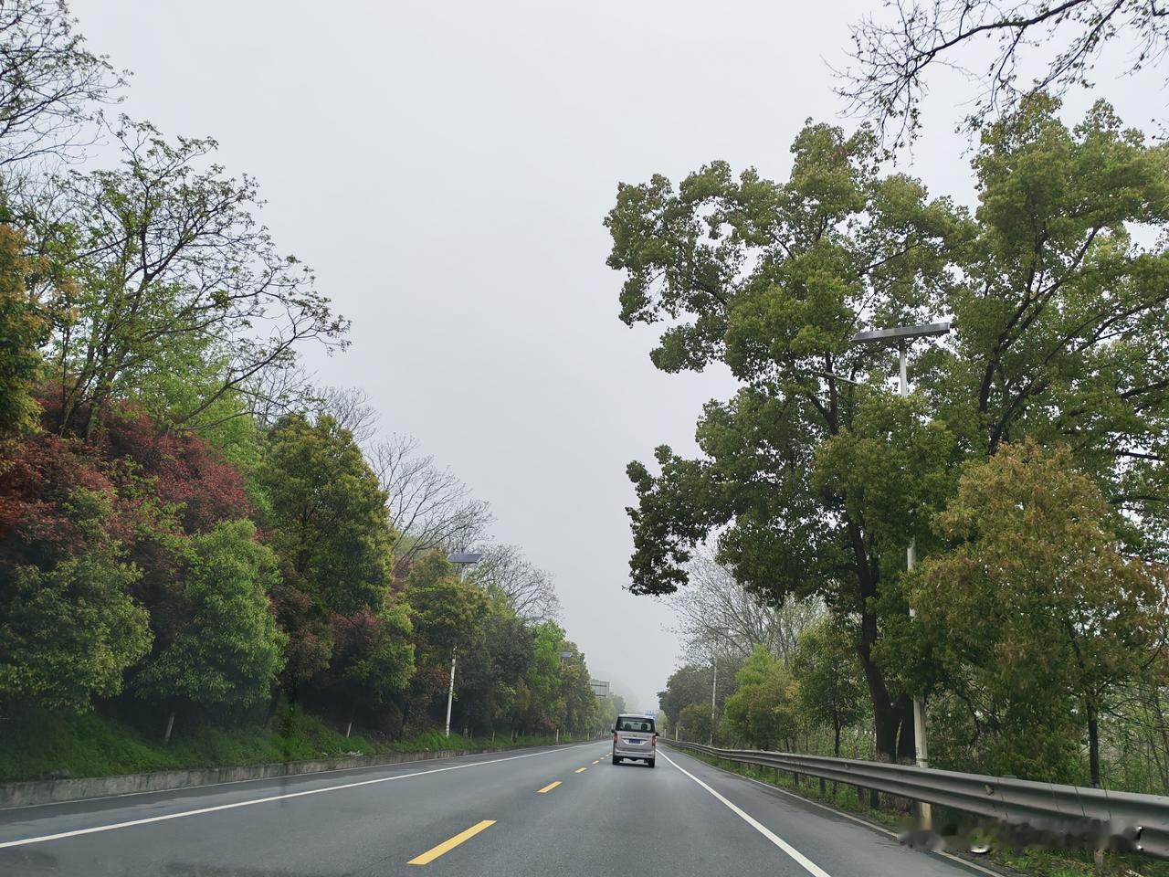 回乡偶记

郴州连日下雨。4月1日终于放晴。退休赋闲的老公赶紧约上四兄弟去扫墓。