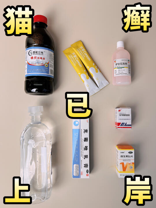 崽猫癣血泪史！免疫力才是关键