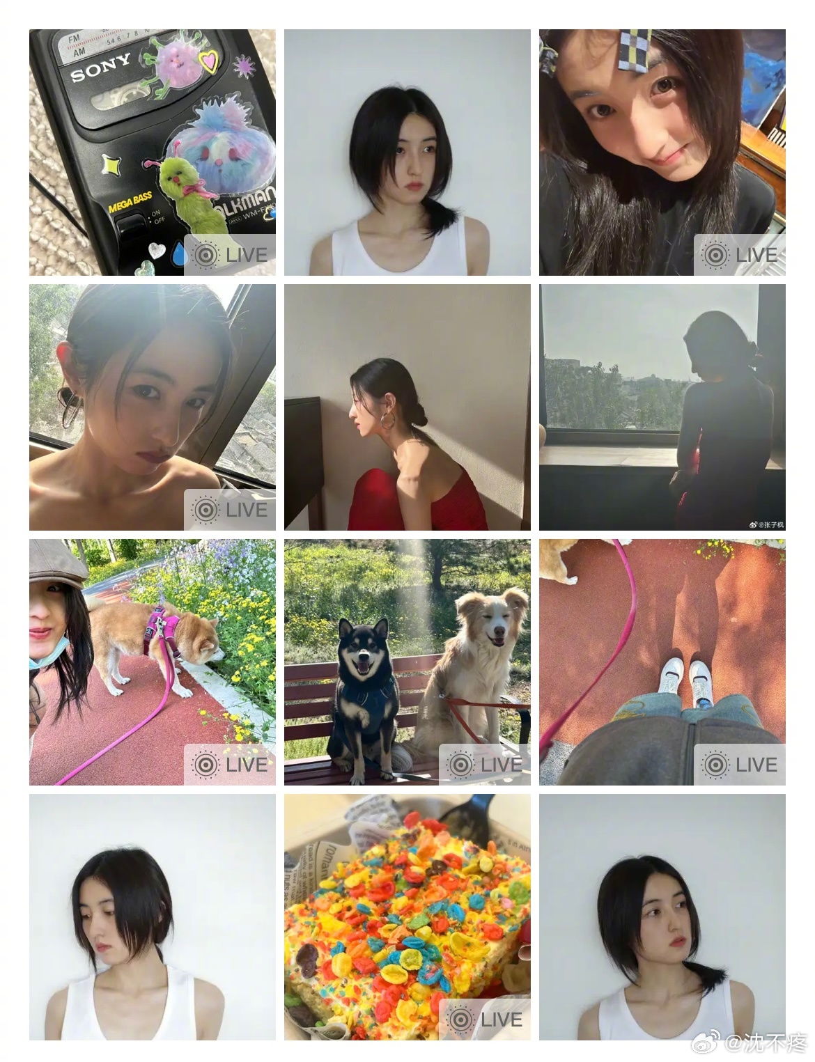张子枫五一假期过半分享不知道为什么，每次看张子枫分享的照片都觉得好鲜活、好有生命