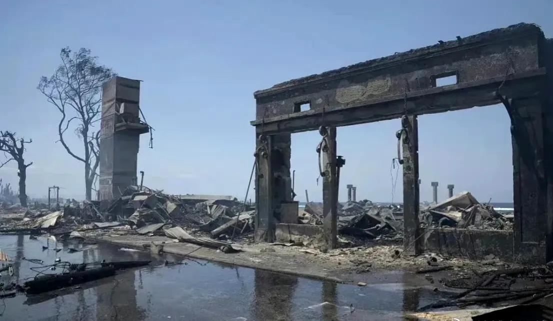 可怜，夏威夷的山火过后，
满目疮痍。