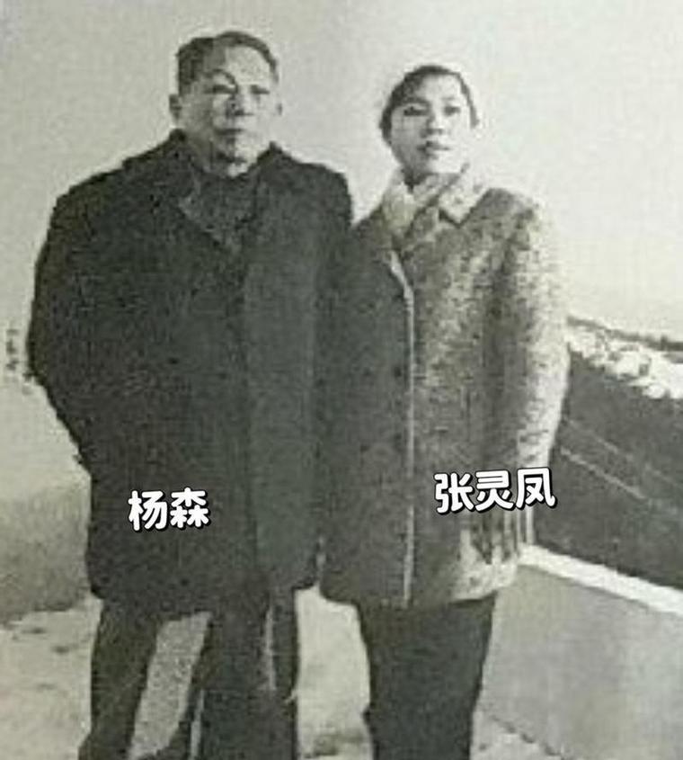 1974年，90岁的杨森迎娶了17岁的张灵凤。洞房之夜，就在杨森要行房时，张灵凤