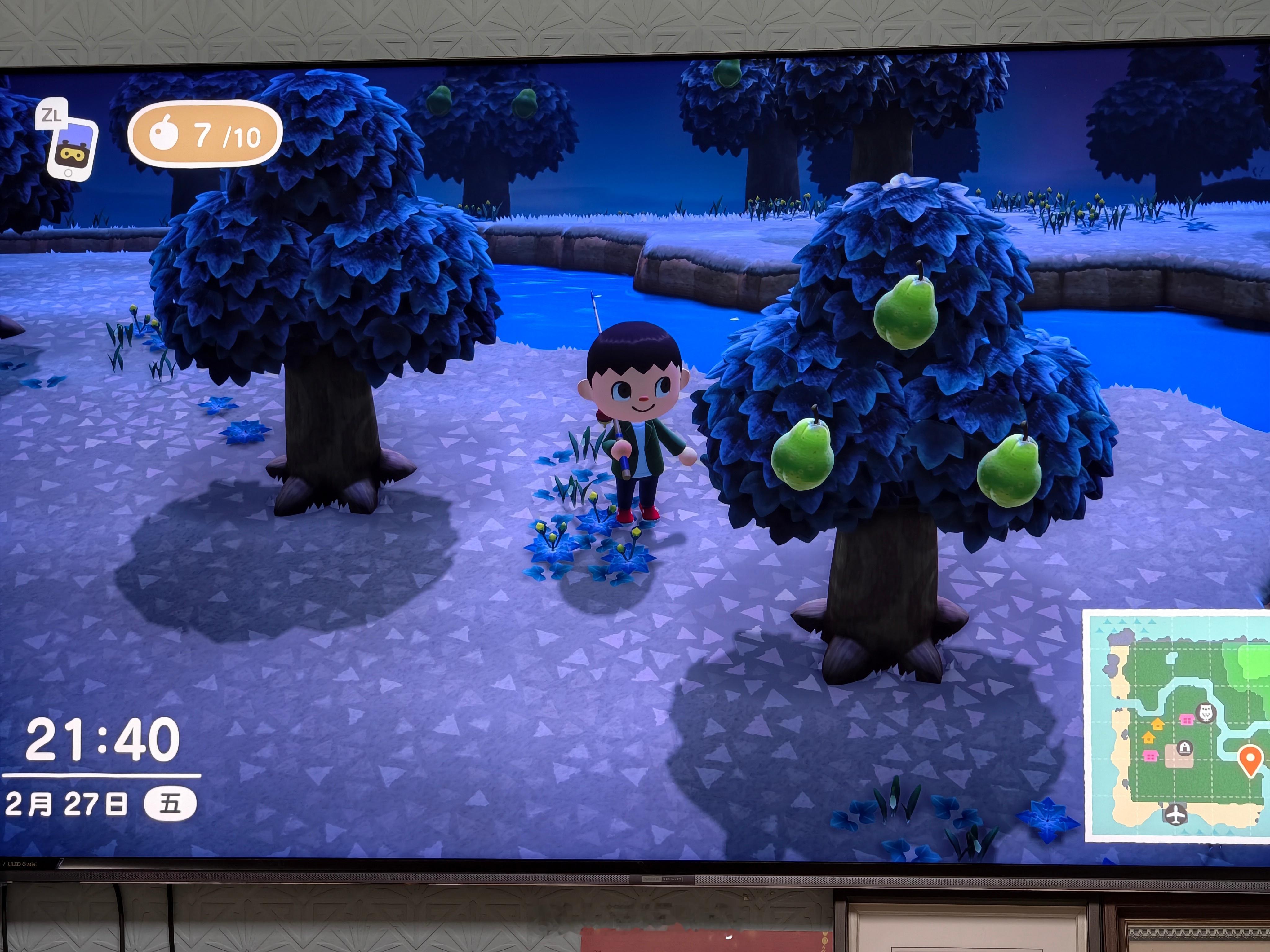 动森还挺好玩可以陪孩子玩还有个交流的 