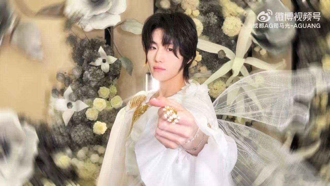 月光凝成薄翼，花影摇曳为阶AG司马光精灵王子造型