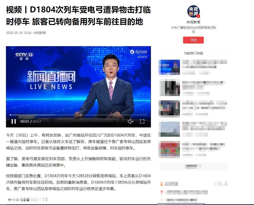 谁干的，竟敢公然袭击行驶中的高铁列车。

据央视网权威报道，5月30日9点19分