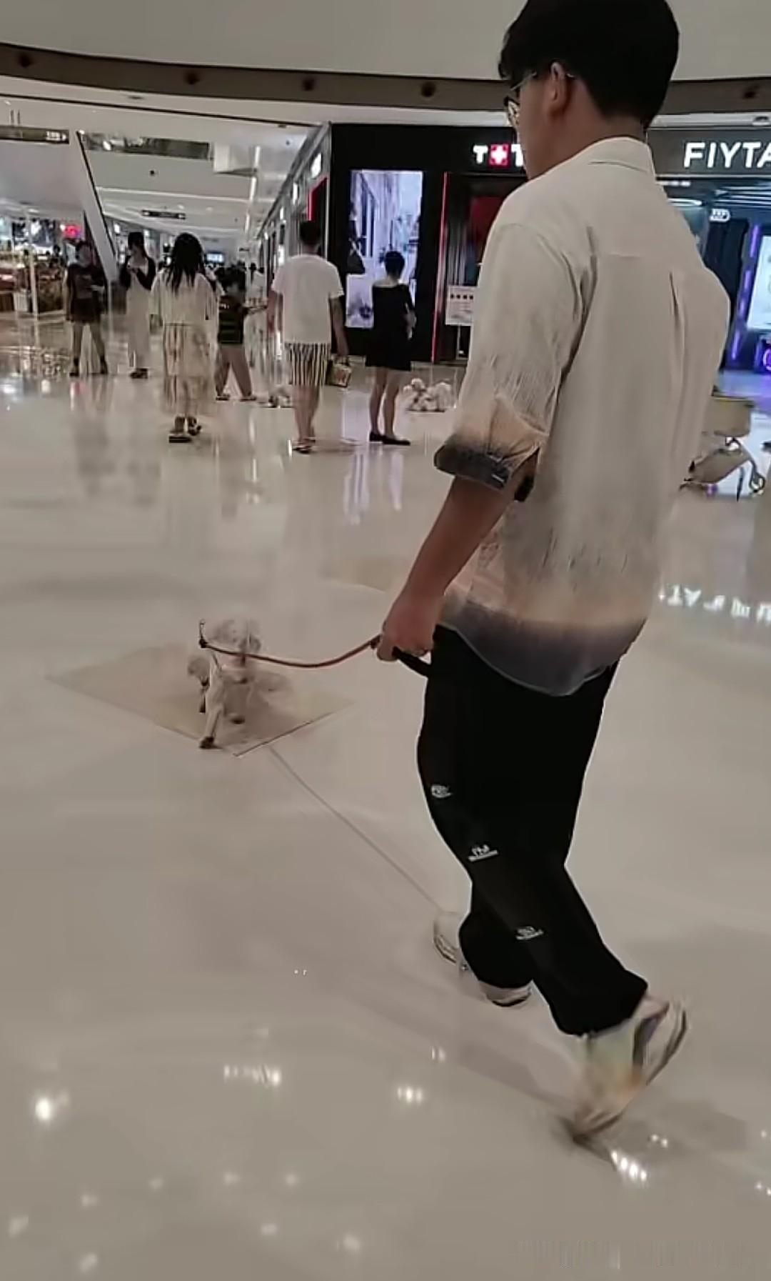 这是江苏网友在本地商场拍到的一幕，你会发现这里的狗很多，牵绳遛狗的人很多，抱着狗