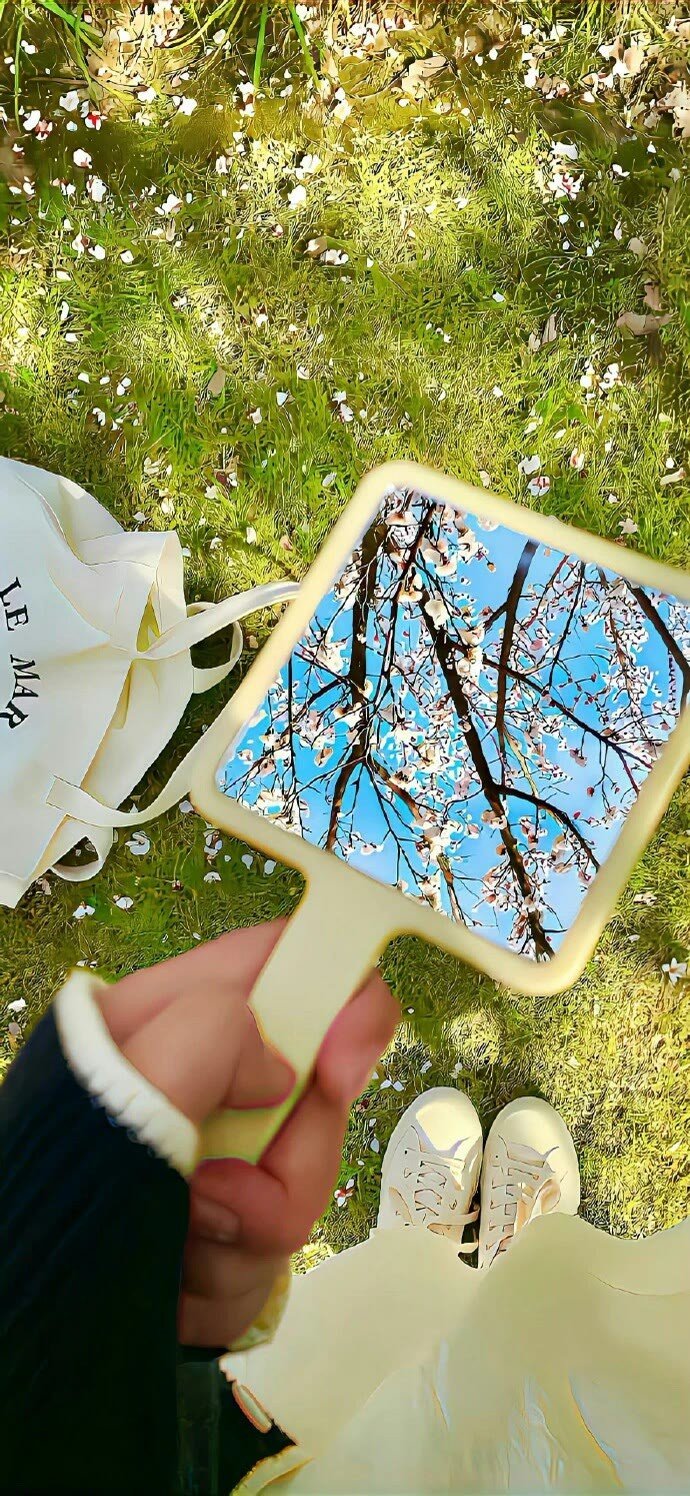 壁纸 