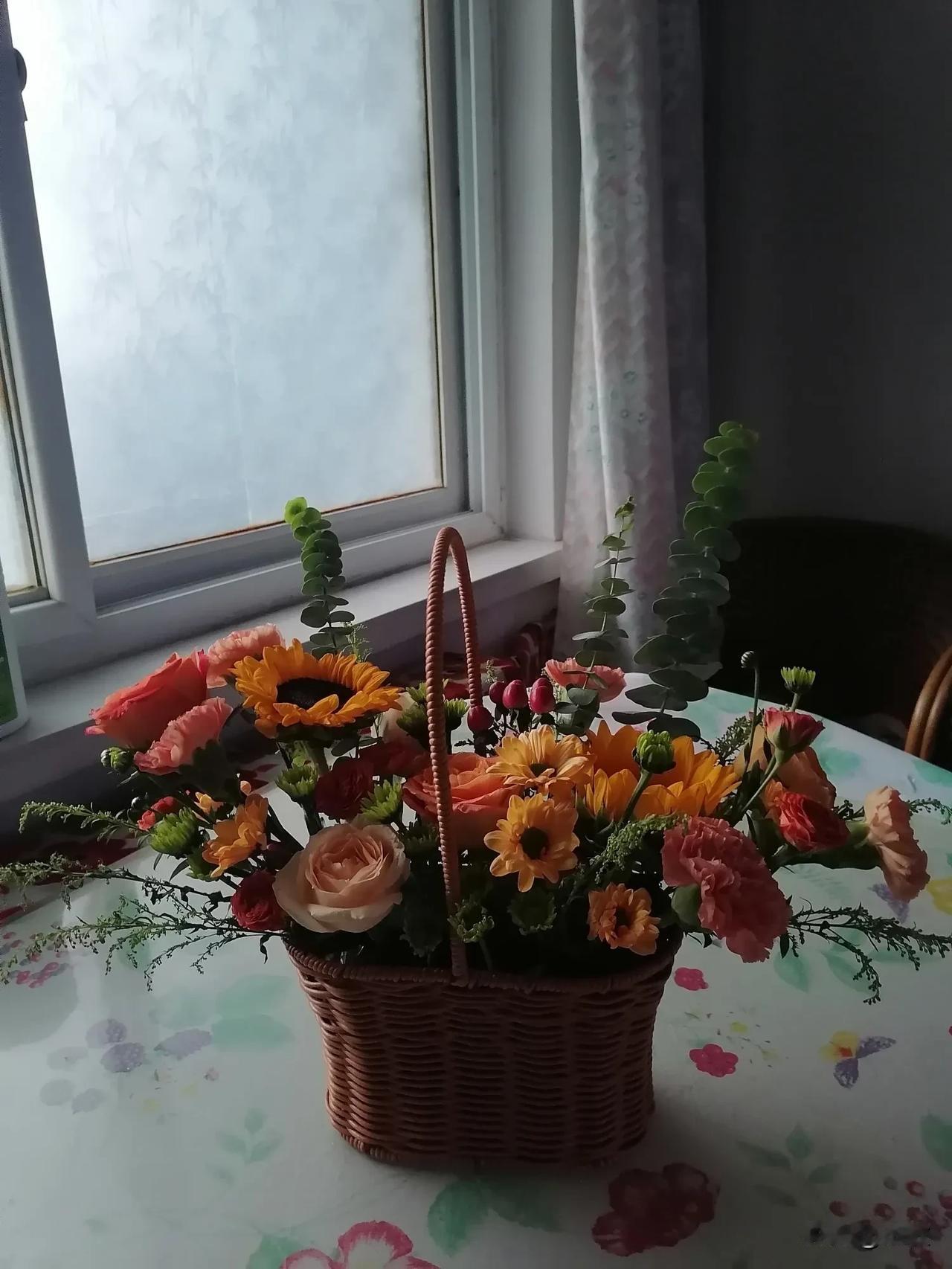 #随手拍美丽景色⚡😊
😊|⚡#千朵花万朵花不如儿媳妇送我的这花蓝。祝全国各族