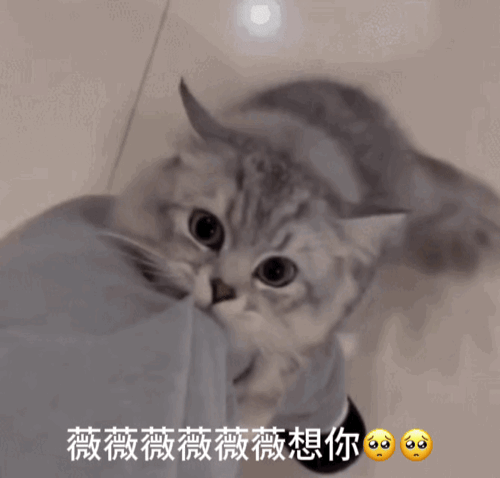 想老公了[捂嘴哭][捂嘴哭][捂嘴哭][捂嘴哭][捂嘴哭] ​​​