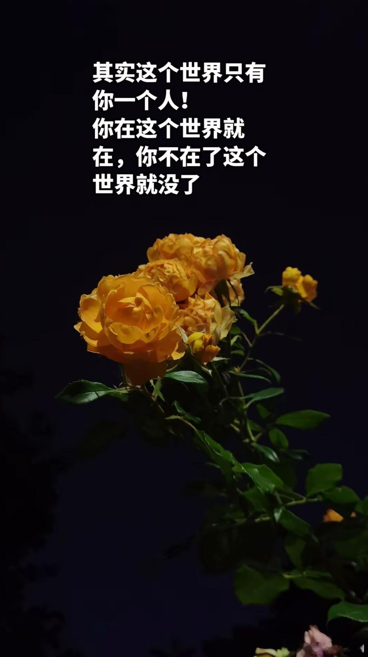 其实这个世界只有你一个人！你在这个世界就在，你不在了这个世界就没了。 