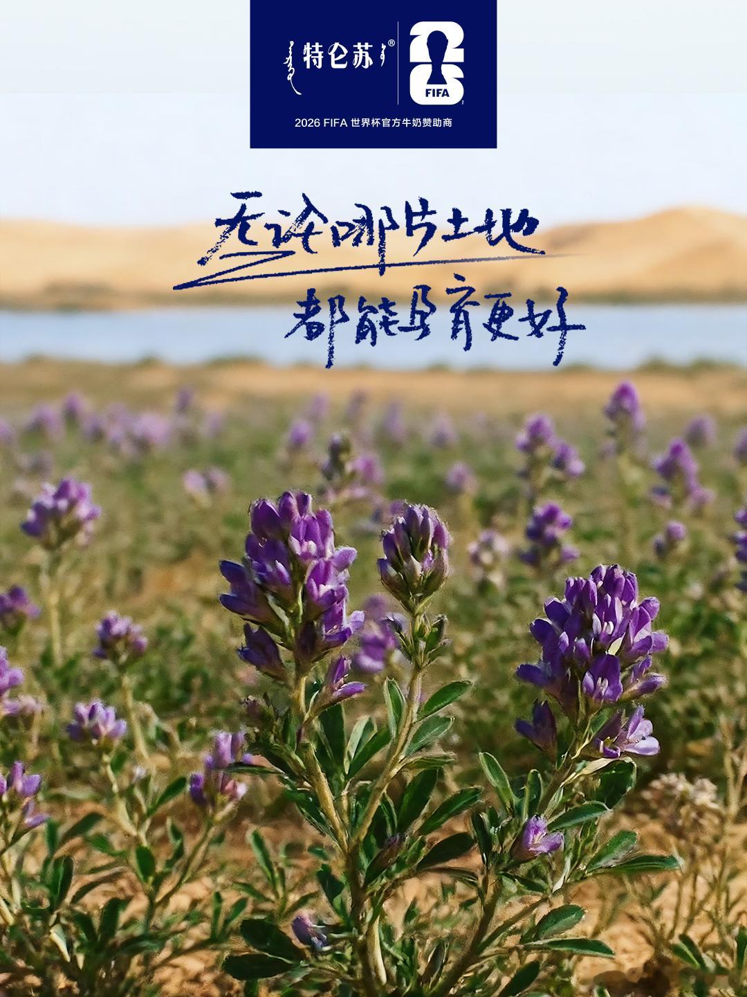 张云龙说这是世界杯级防守 什么是“世界杯级防守”？是马尔蒂尼与卡纳瓦罗的“世纪双
