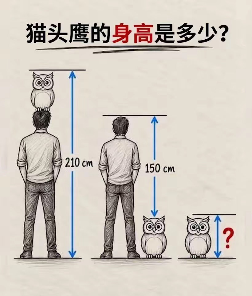 你能算出来吗？ ​​​