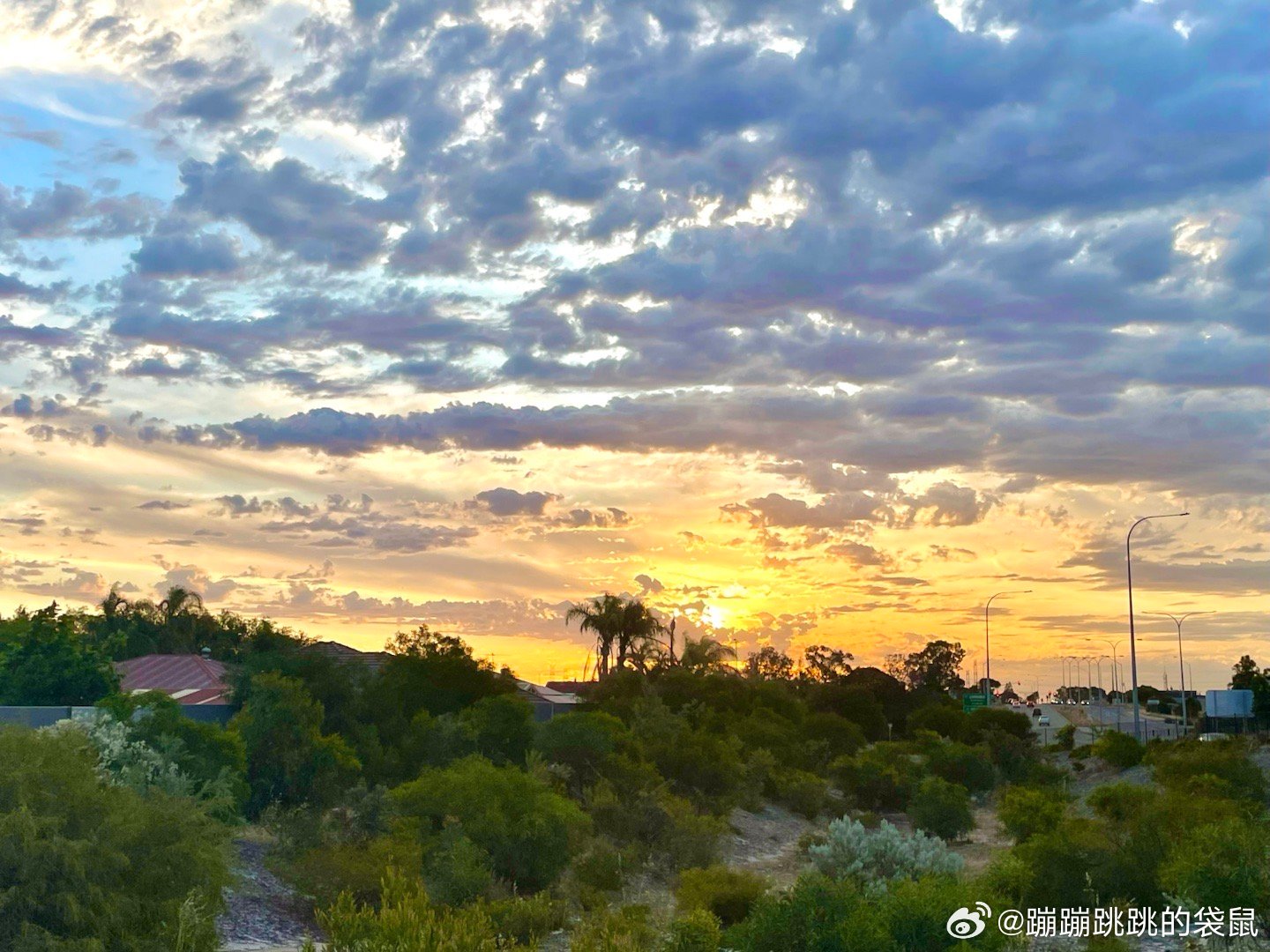 生活手记没有陈添祥新剧可追的日子……八月四，五部扎堆上，接着就是漫长的等待，现在