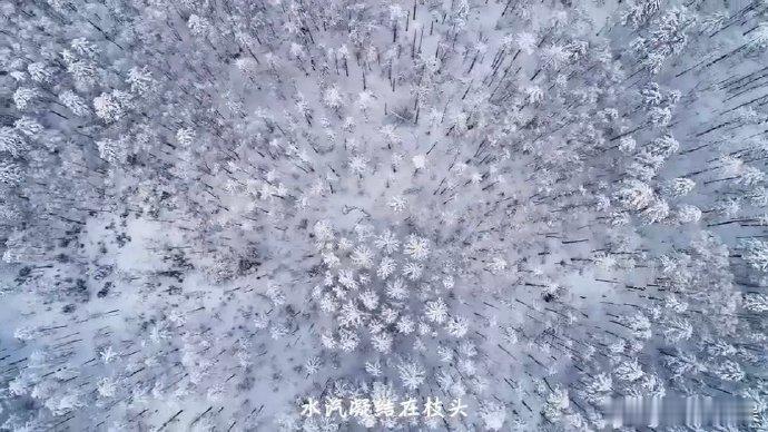 林都伊春冰封秘境 伊春冬日，冰雪勾勒童话轮廓！雾凇长廊奔跑，林海雪原穿梭，快乐就