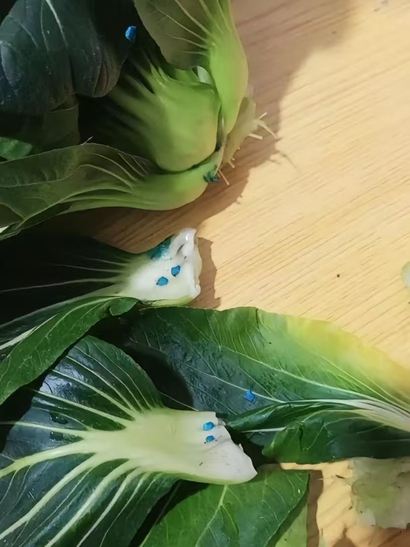 在菜市场买的上海青，这些蓝色颗粒的东西是什么？ 