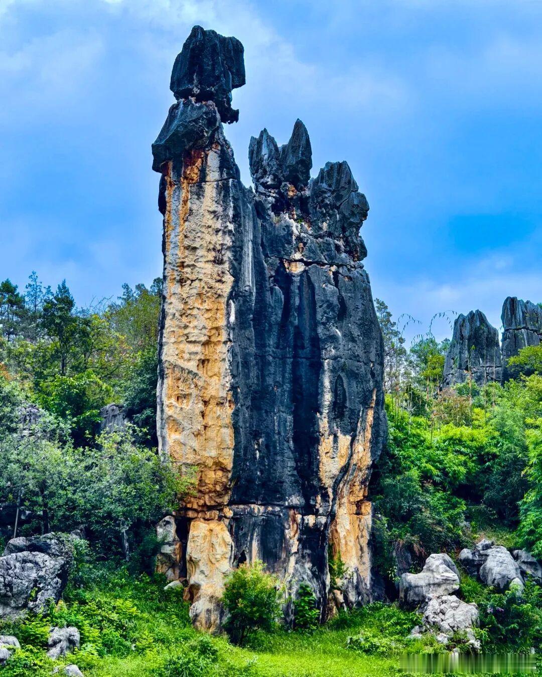 很难想象地底几百米藏着另一套完整生态🌑亿万年流水雕琢巨型洞厅、形态各异的钟乳石