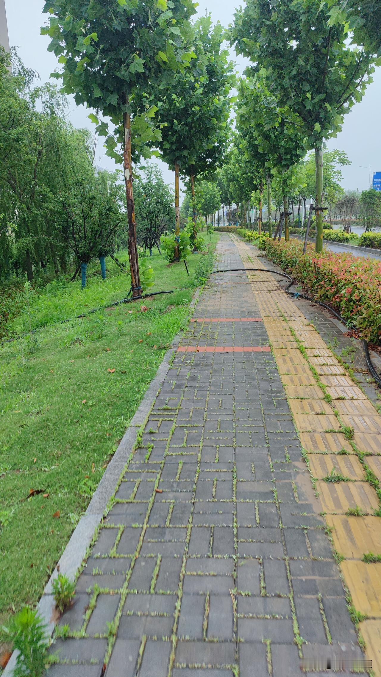 今天由于下雨，乘坐公交出行，非常方便。