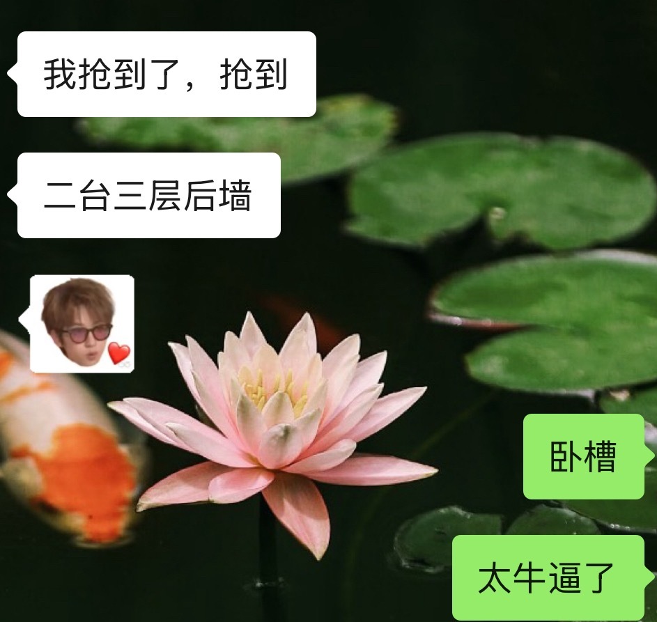 yzn牛逼 