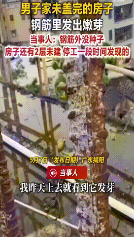 顽强的生命——“铁树生芽”！！！

   昨天，看到一个视频，
让我再次相信了生