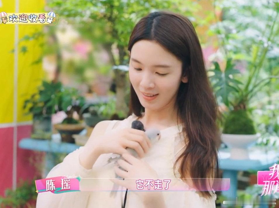 没有动物能拒绝陈瑶陈瑶完全御兽宗圣女看陈瑶和连云宝的互动瞬间被治愈，小鸟原本十分