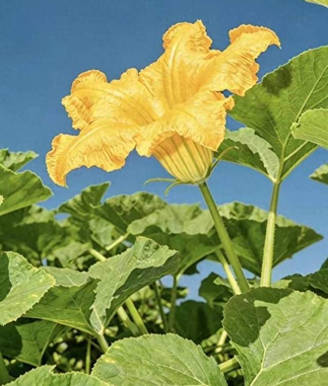 骚扰电话停不下来？微信这3个默认开关马上关掉试试吧