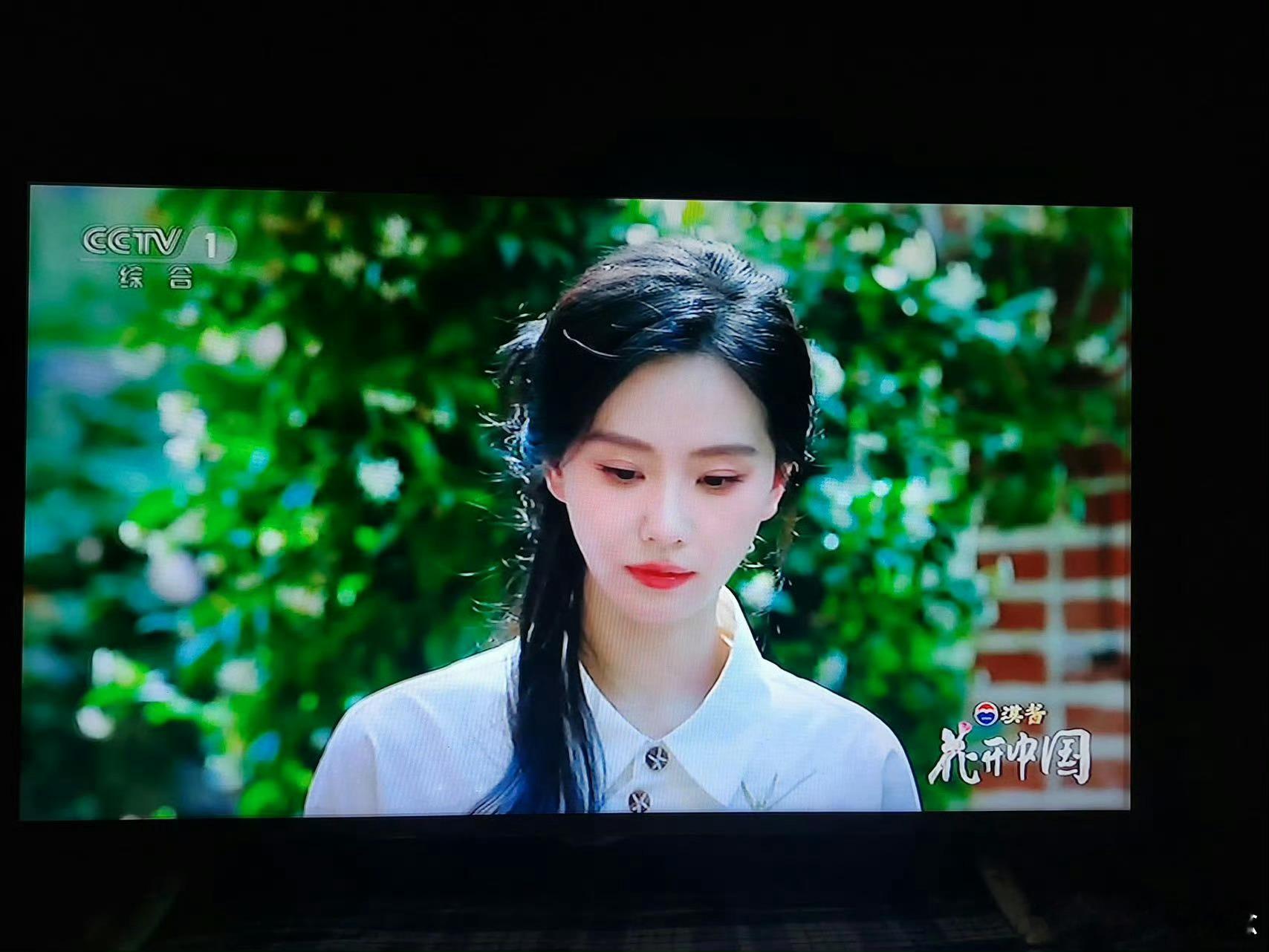 央视镜头下的刘诗诗美进我心里 瞧瞧刘诗诗这仙气模样，绿意繁花间美成一道风景！ ​