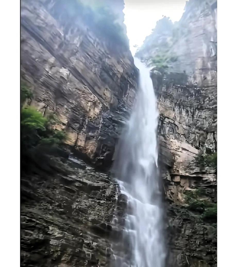 都夸他勇敢，我却觉得，这种勇气不该被赞美！

一个人走进大山，是自由的。但一个家