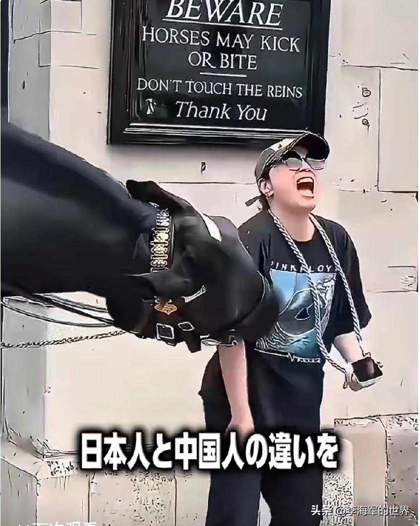 日本人这都能自嬷，说“英国白金汉宫前的马见中国人就咬，但是见日本人就很亲近”。