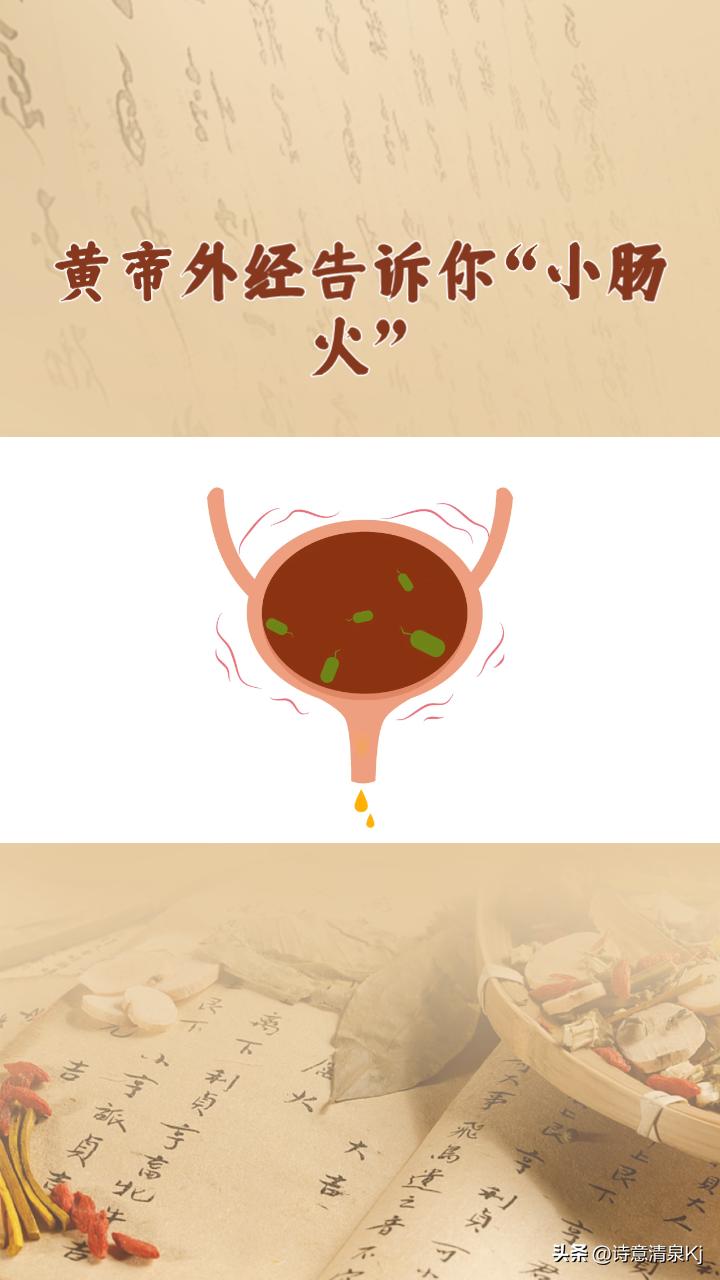 热爱养生，就学黄帝外径。今天分享第三十五篇“小肠火”篇的内容视频。下期分享第三十
