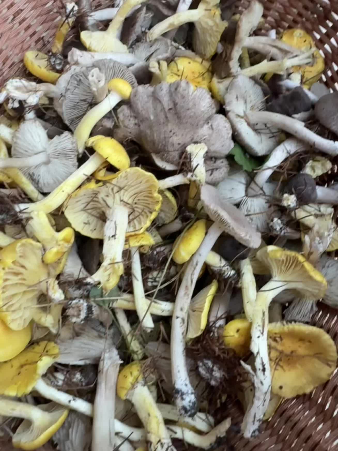 下班后的活动