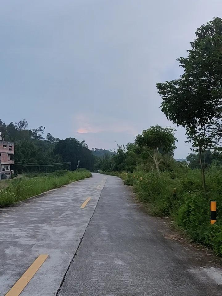 上周回德州老家特意绕开了主路，顺着田间小路晃了快一小时。
路两边的狗尾草蹭得裤脚