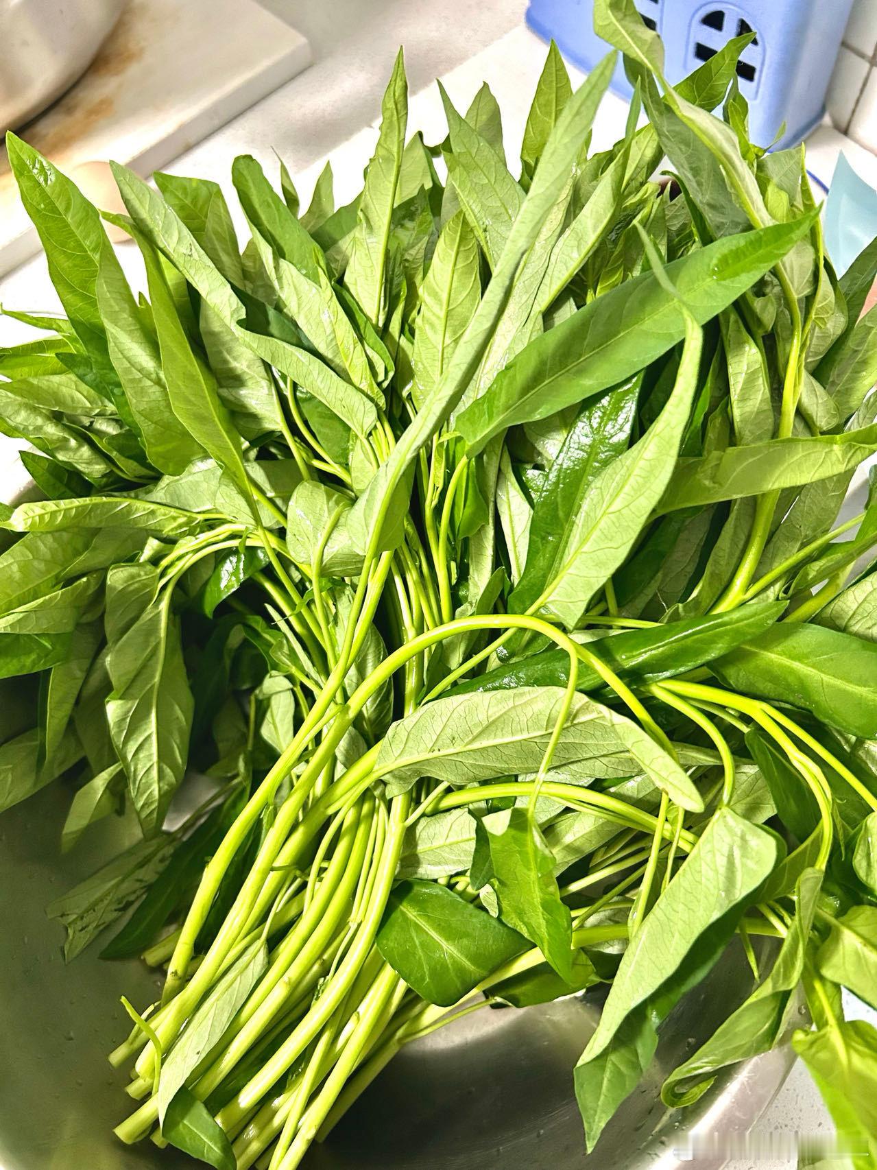 #健闻登顶计划##全民营养提升计划# 【变着花样吃蔬菜：蒜蓉空心菜】空心菜是常见