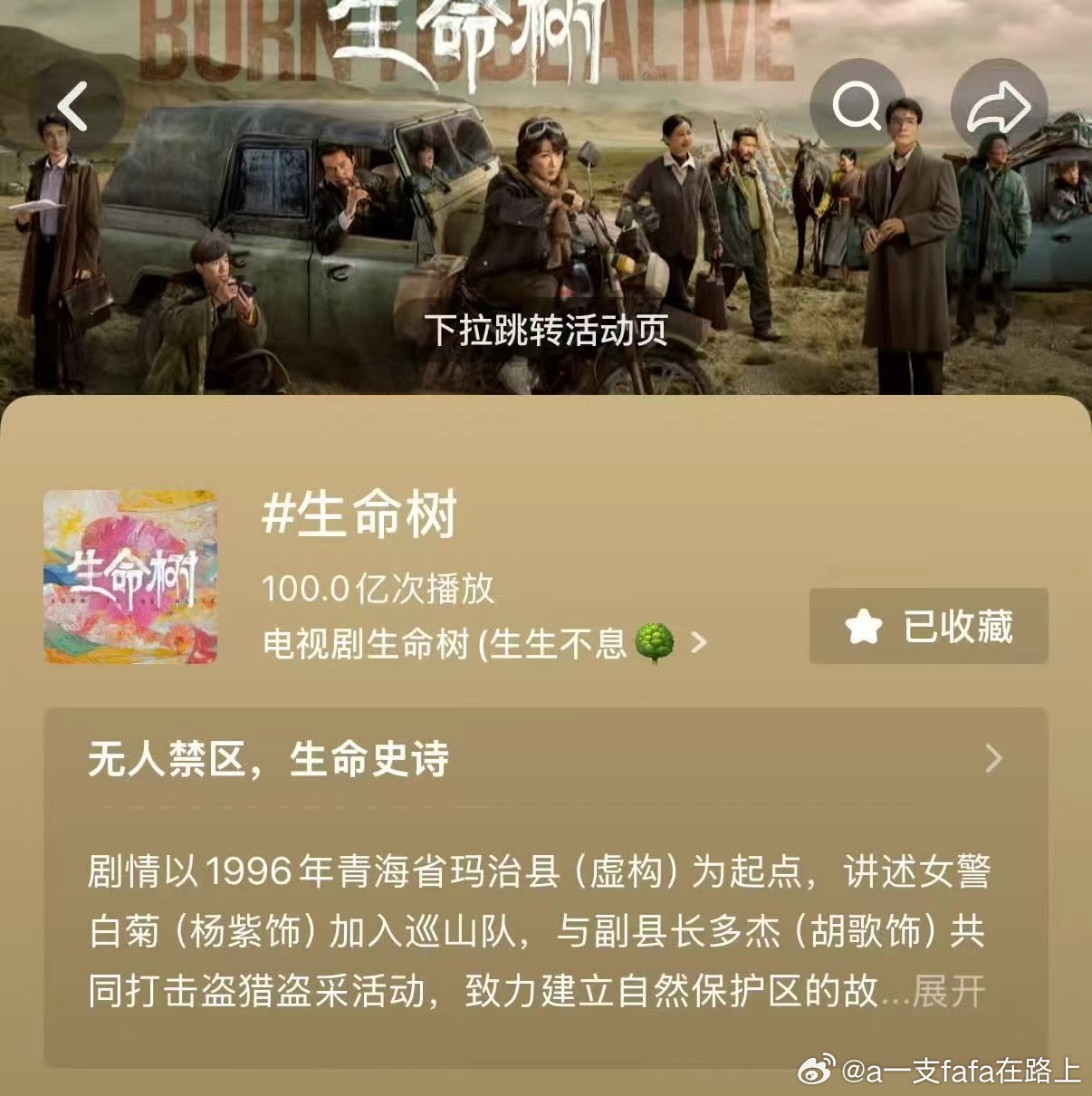 杨紫杨紫 生命树玉兰花开抖破百亿了生命树