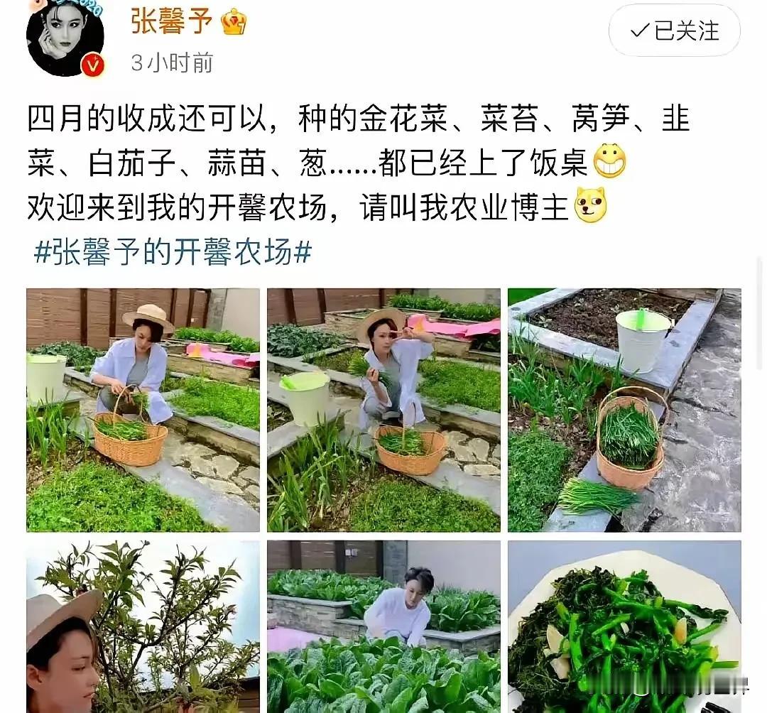 以前对张馨予无感，现在是越看越顺眼[憨笑]

嫁给军人何捷后，更是没工作时深居简