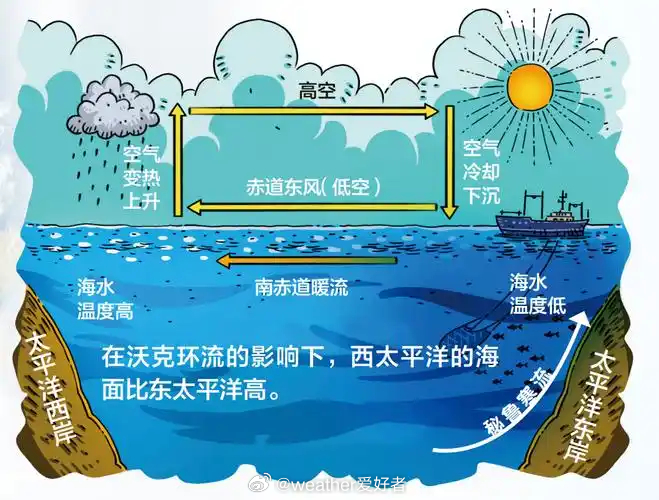 【厄尔尼诺现象】美国国家海洋和大气管理局（NOAA）11日宣布，热带太平洋已形成
