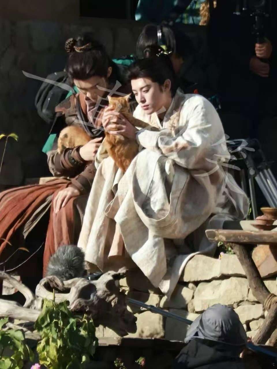 王鹤棣咸鱼飞升抱小猫王鹤棣咸鱼飞升抱小猫路透王鹤棣咸鱼飞升抱小猫路透，期待，[舔