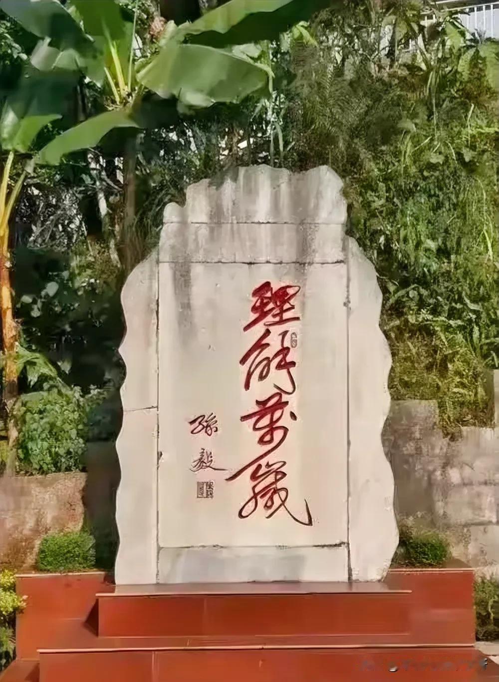 发现身边都认不全这四个字