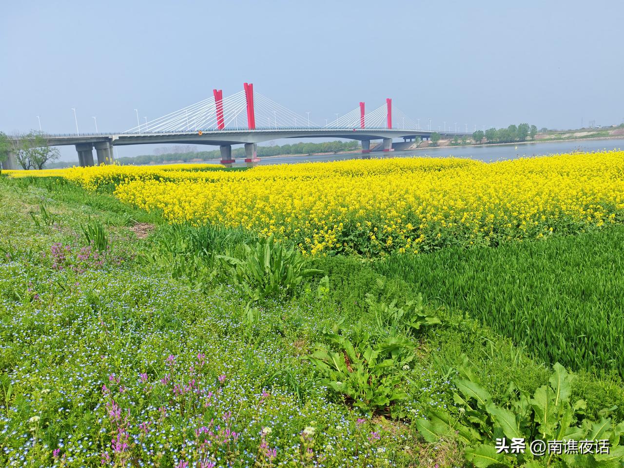 那拉提草原你去过吗？新疆的那拉提我还没去过，但涡河八桥附近的这个地方被称为安徽怀