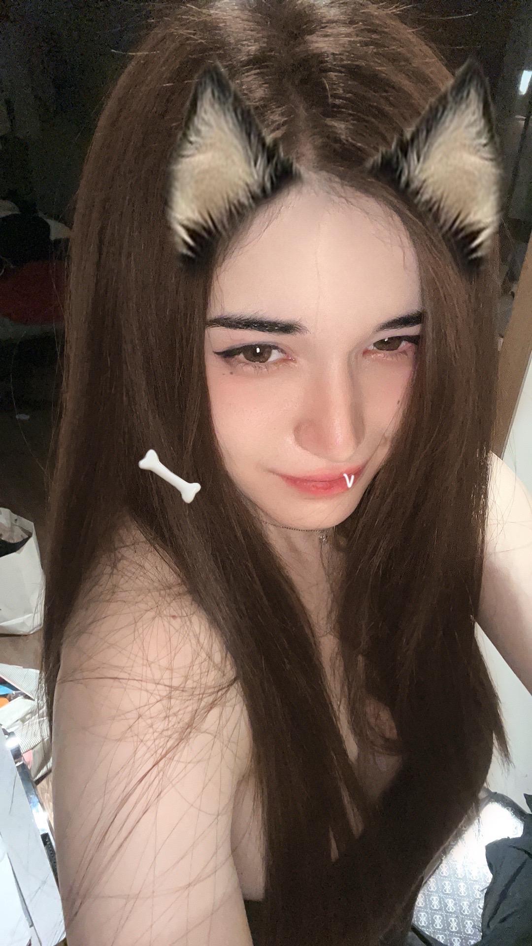 今年不要当舔狗，当小猫咪喵。哈哈哈哈