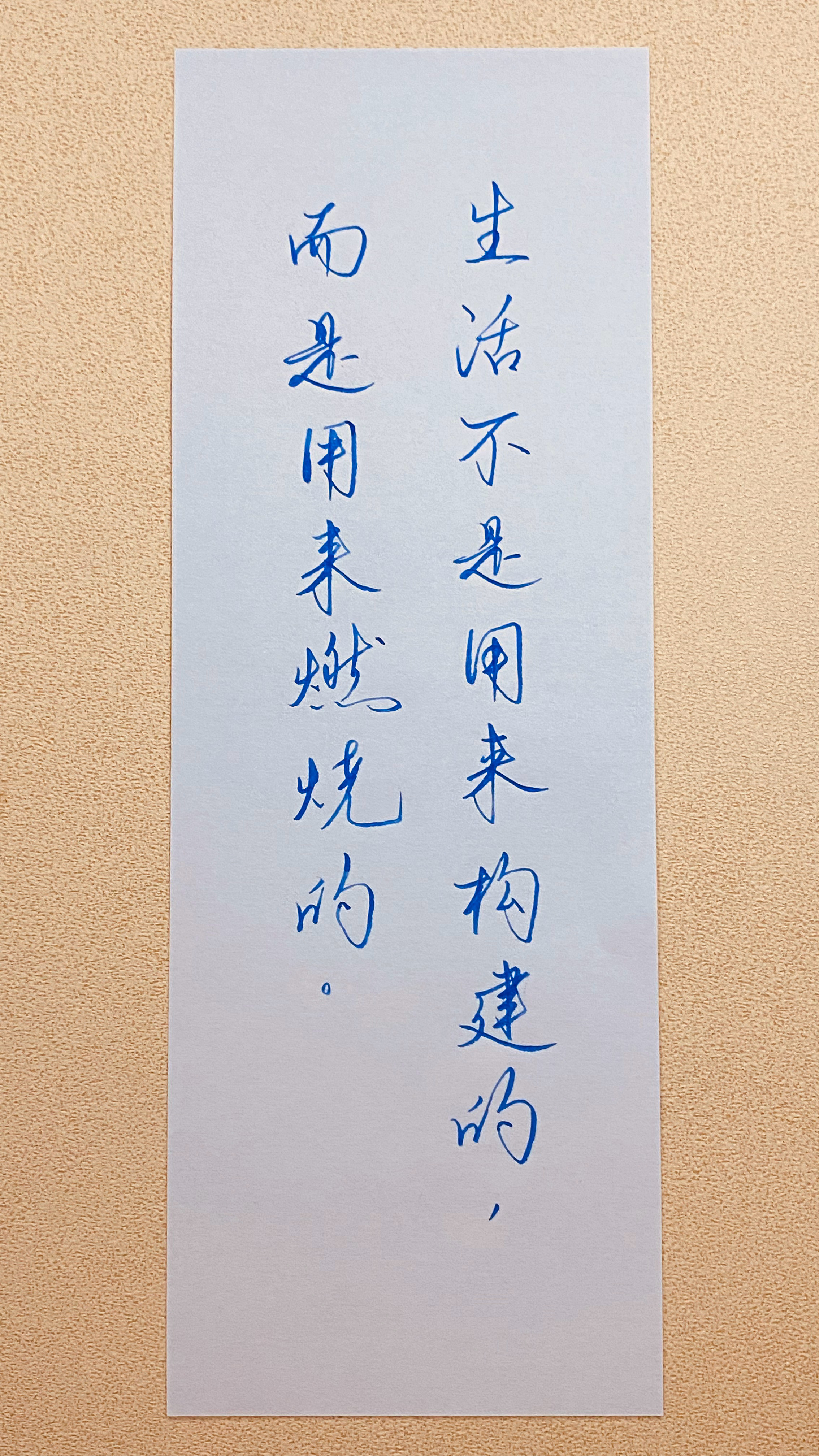 今日作业（2026.6.10）生活不是用来构建的，而是用来燃烧的。     --