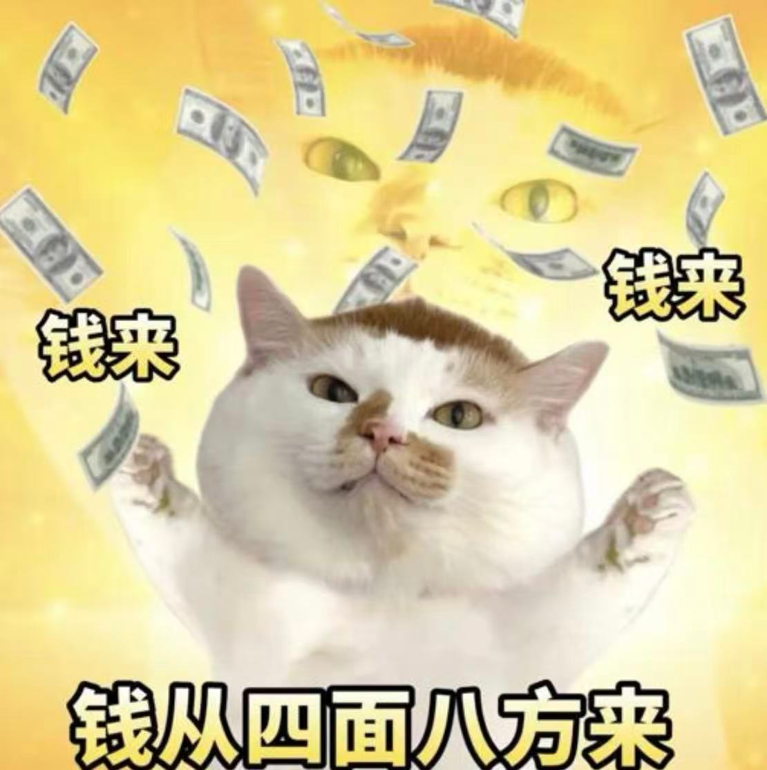 已经定好了千问红包雨的闹钟了这次天上真的下钱了哈哈哈哈哈哈，明晚19点集合，我已