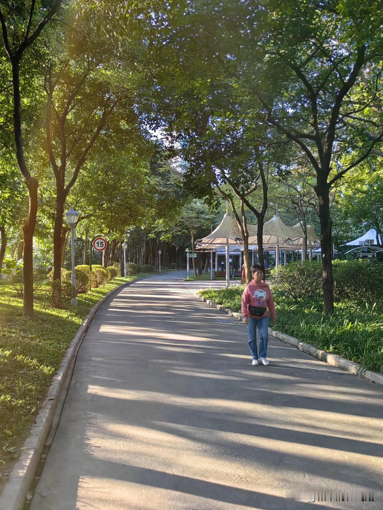 今天早晨的深圳儿童乐园真热闹。我进园子里晨练，虽然没见几个儿童游乐，但却看见了不