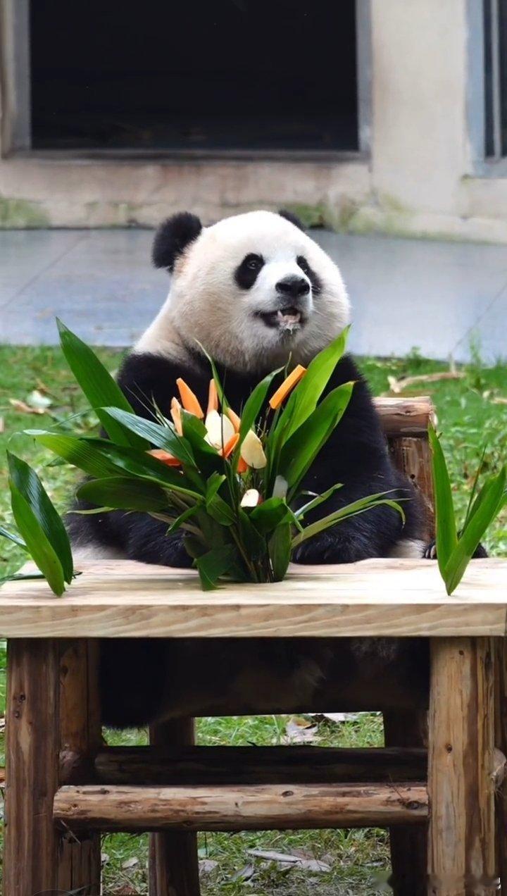 二馆长渝爱坐在新的办公桌上办公，就是椅子有点高了，脚脚都踩不到地面 