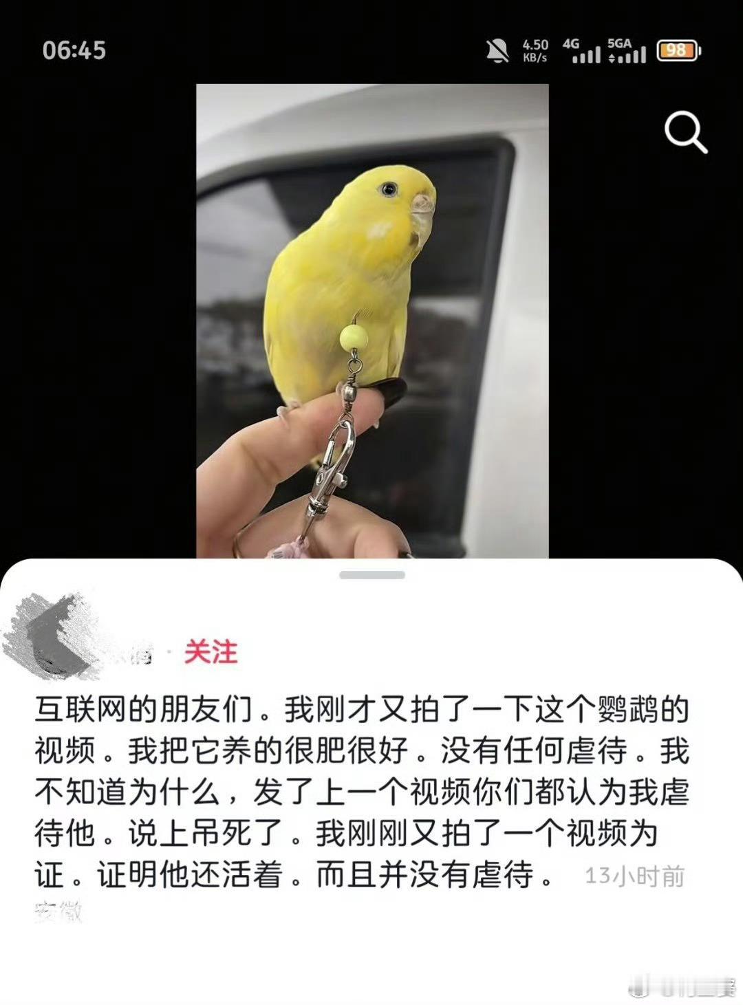 -上次鹦鹉的时候我还发过声，现在变成小狗了？？这是尝到了流量的甜头，故技重施吗？